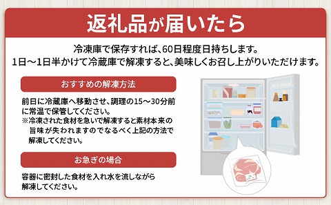 宮崎県産 豚肉 切り落とし 250g×20 合計5kg |豚肉 豚 ぶた 肉 国産 切り落とし 真空パック