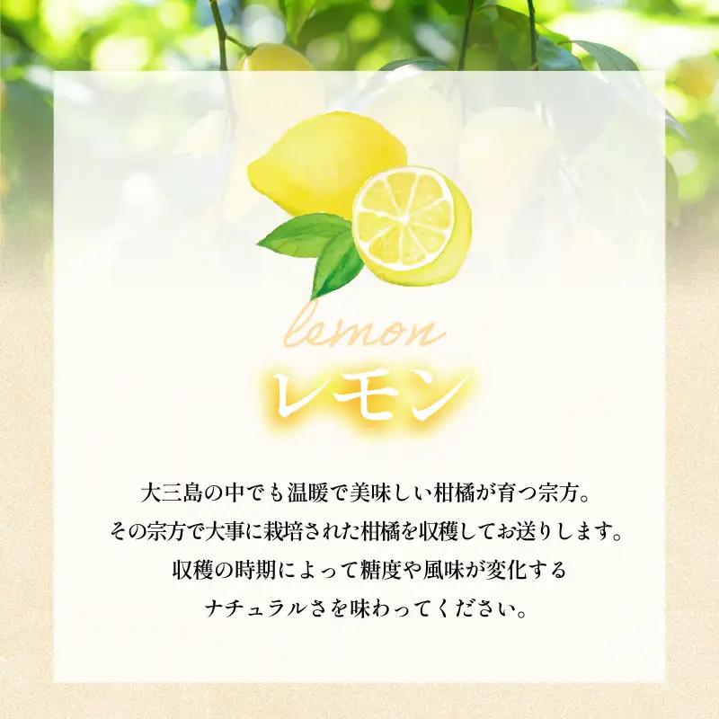 【先行予約】宗方印 レモン（家庭用）約1.5kg