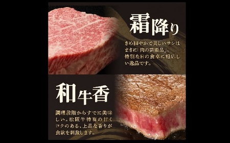 松阪牛 A5 シャトーブリアンステーキ 360g（120g×3枚）　( 牛肉 ブランド牛 高級 和牛 国産牛 松阪牛 松坂牛 ステーキ ヒレ シャトーブリアン 牛肉 ステーキ 松阪牛 牛肉 ステーキ 