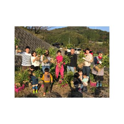ふるさと納税 苅田町 生姜パウダー　200g |  | 02