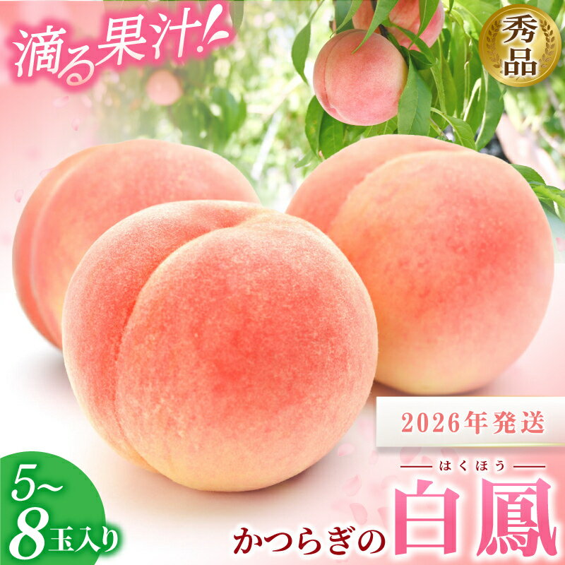 【ふるさと納税】 ☆2026年先行予約☆ 桃 和歌山県産 白鳳 5〜8玉 秀品 ☆化粧箱入☆ 【2026年6月下旬から7月下旬ごろ発送】 桃 もも モモ 果物 くだもの フルーツ 先行予約 白鳳 人気 和歌山の桃 贈答 贈り物 プレゼント 数量限定 お取り寄せ かつらぎ町 送料無料