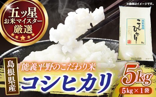 五ツ星お米マイスター厳選 能義平野のコシヒカリ 5kg  【令和7年産  精米 白米 ご飯 お米 こしひかり 美味しい 安心 安全 沼田米穀店 島根県 安来市】【15-NB-07】