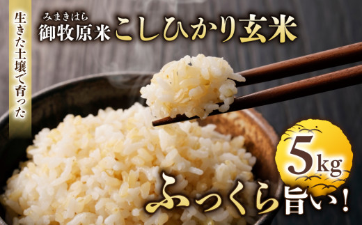 【里山JAPAN】長野県産！生きた土壌で育った御牧原米こしひかり 玄米（令和7年産）　5kg｜2025年10月上旬以降に発送予定