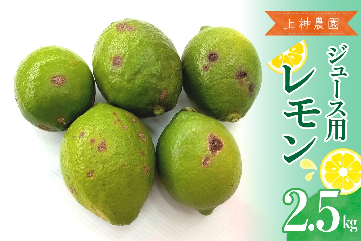 
            【2025年11月～発送】上神農園 ジュース用 レモン 約2.5kg ku011-040-25
          