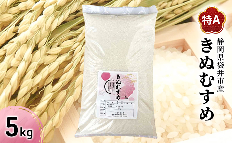 お米 きぬむすめ(特A) 5kg 米 コメ きぬむすめ 精米 白米 ふっくら つやつや 甘み お弁当 おにぎり 袋井市 静岡県
