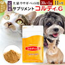 【ふるさと納税】《定期便11ヶ月》犬 猫 ウサギ ペット用サプリメント(コルディG) 30g×1袋 11か月 11ヵ月 11カ月 11ケ月