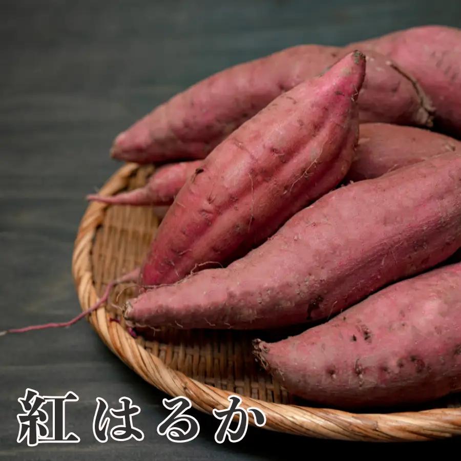 さつまいも 熟成 紅はるか 約5kg 国産 焼き芋 焼芋 やきいも しっとり 蜜芋 芋 おいも サツマイモ さつま芋 べにはるか スイーツ おやつ 産地直送 栽培期間中農薬不使用 高知県 大月町産