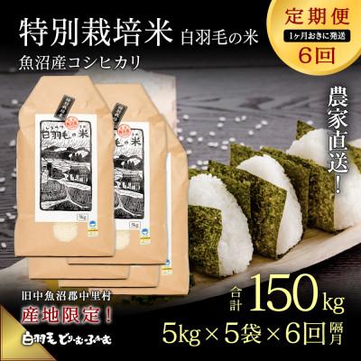ふるさと納税 十日町市 【2ヵ月毎定期便】農家直送!魚沼産コシヒカリ特別栽培 精米(5kg×5袋)全6回