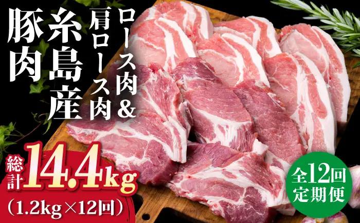 【全12回定期便】糸島豚ロース肉6枚 肩ロースカツ5枚 合計11枚セット 糸島市/糸島ミートデリ工房[ACA231]