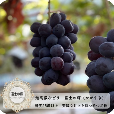 富士の輝とシャインマスカット　1.2kg【配送不可地域：離島】