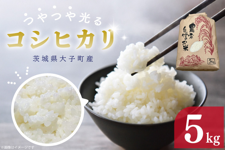 
            【 令和7年産】つやつや光る 新米コシヒカリ 5㎏ 菊池農園｜茨城県 大子町 お米 白米 精米 産地直送（CL001-1）
          