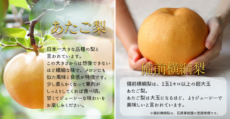 備前横綱梨（あたご梨）2玉（1玉約1～1.4kg） 備前乙女梨（ヤーリー (鴨梨)） 4～6玉 詰め合わせ 約4kg【先行予約 2025年11月中旬から順次発送】