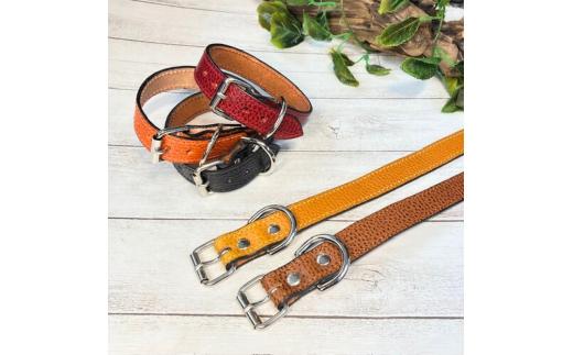 選べるサイズのイタリア本革の犬用首輪 (25㎜幅) 小型/中型/大型　【ドラーロ】 犬用首輪 首輪 犬 ドラーロ SSサイズ 橙