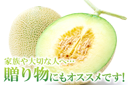 B-161 益田産アールスメロン8kg（5～6玉入り）【夏作】