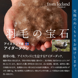 【甲州羽毛ふとん】肌掛けシルクジャガード手選別アイダーダウン（ダブル） 羽毛布団 掛け布団 肌掛け アイダーダウン シルクジャガード 山梨 富士吉田