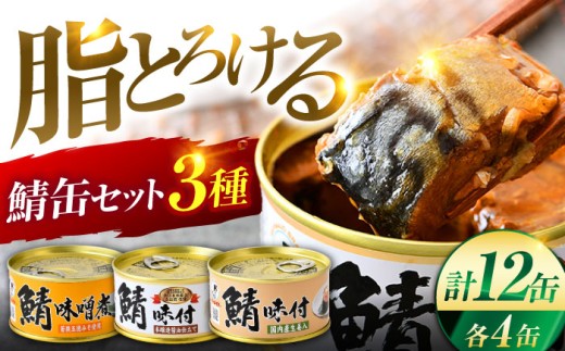 鯖缶詰 12缶 詰め合わせD 180g×12缶 本醸造醤油仕立て 生姜 味噌煮 / サバ缶 鯖缶 さば缶 鯖 サバ さば 小浜市 / 福井缶詰 [BFAB059]