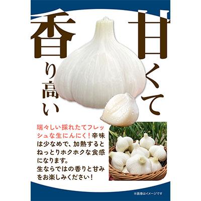 ふるさと納税 当別町 【令和8年発送先行受付】生にんにく(福地ホワイト六片種)1kg |  | 02