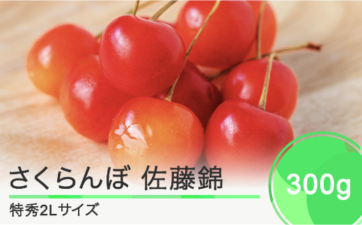 
先行予約 さくらんぼ 佐藤錦 特秀2Lサイズ プレゼント ギフト 化粧箱入 300g 2025年産 令和7年産 山形県産 ns-snt2x300
