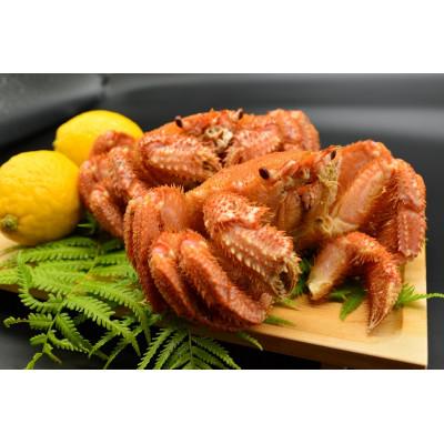 ふるさと納税 網走市 オホーツク海産・堅蟹毛蟹2尾(約1.8kg) |  | 01