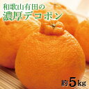 【ふるさと納税】【先行予約】和歌山有田の濃厚デコポン 約5kg ※2025年1月中旬～3月下旬頃に順次発送予定 / 不知火 しらぬい みかん 濃厚 柑橘 果物 フルーツ 甘い 果汁たっぷり //dekopon