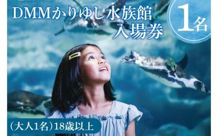 「DMMかりゆし水族館」入場券 大人1名(18歳以上) (DG001)