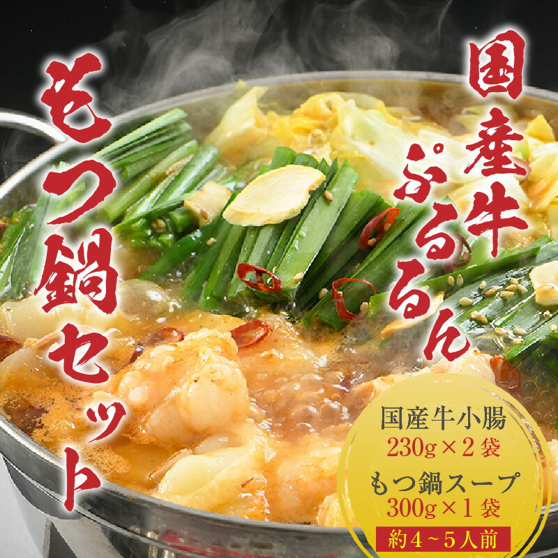 【ふるさと納税】ぷるるんもつ鍋セット（約4～5人前）越前のホルモン屋 国産牛＜ 価格下げました！＞ ／ 味噌 味噌味 モツ鍋 もつ鍋 小腸 ホルモン 鍋 国産 国産牛 牛ホルモン おつまみ 冷凍 人気 アウトドア やみつき キャンプ もつ煮 もつなべ