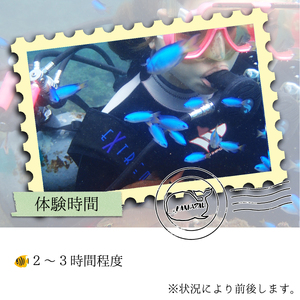 徳島最南端の海で体験ダイビング!
