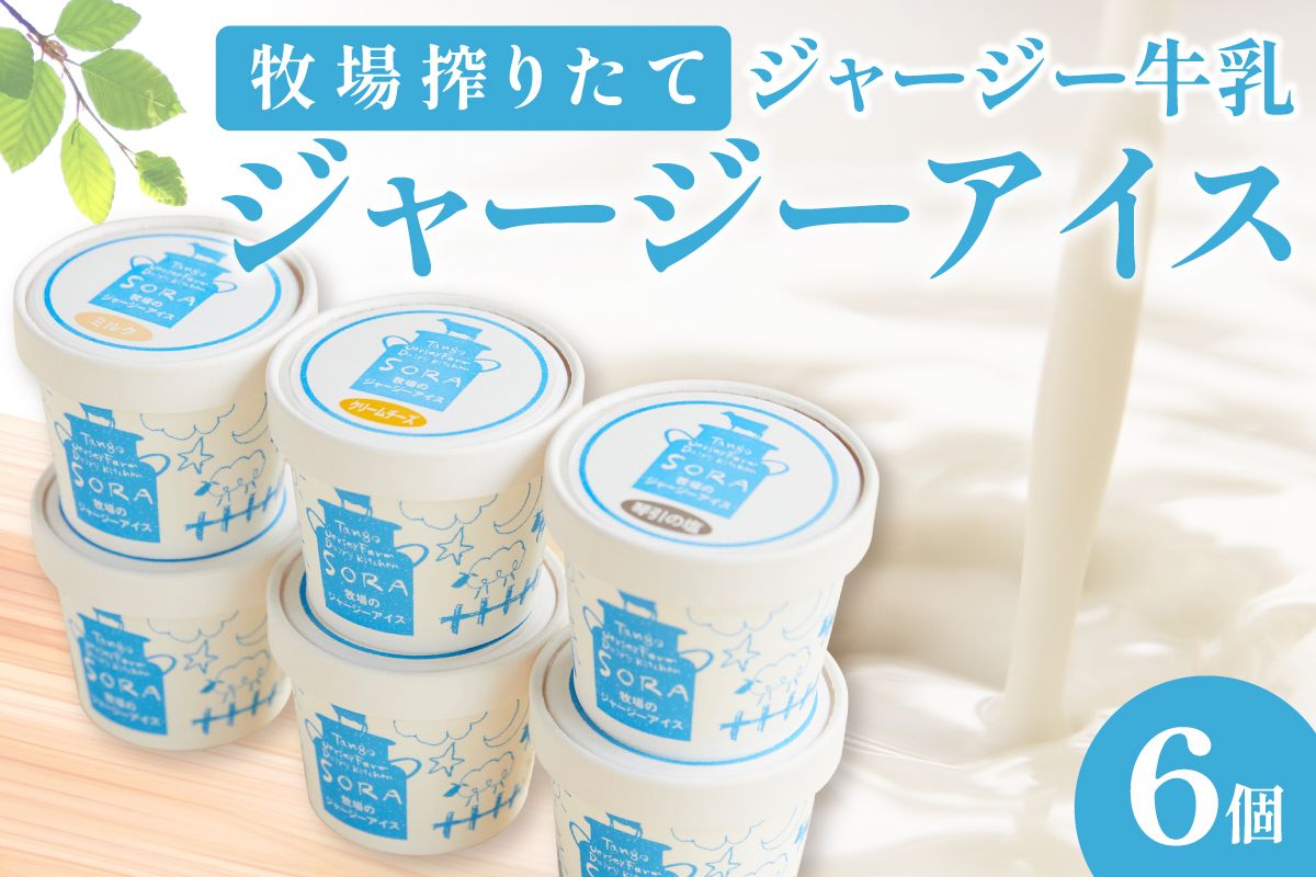丹後ジャージー牧場直送！搾りたてジャージー牛乳から作る濃厚ミルクのジャージーアイス6個セット　スイーツ アイスクリーム 6種 ミルク 琴引きの塩 黒豆きなこ 抹茶 チョコ ミルク工房そら sora ソラ 冷凍　TJ00002