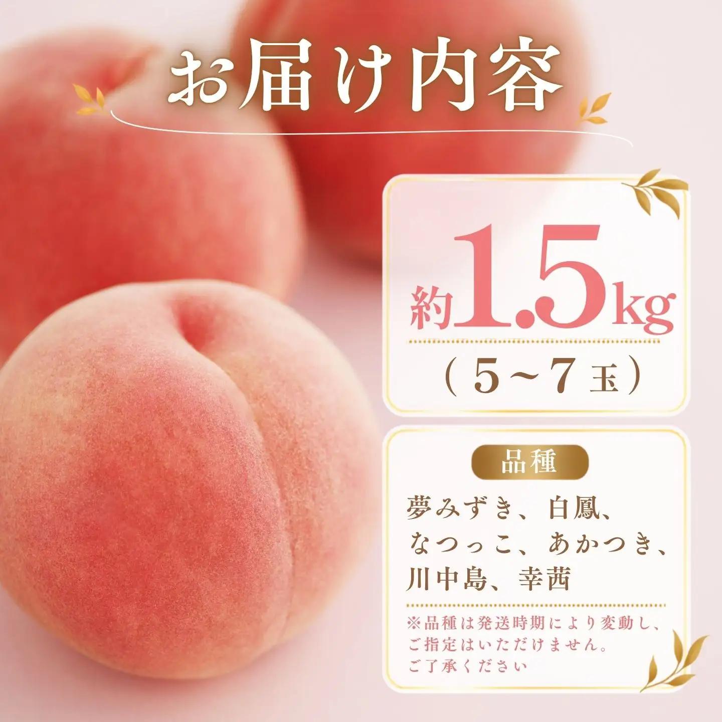 【2027年発送】山梨の桃 約1.5kg以上  桃