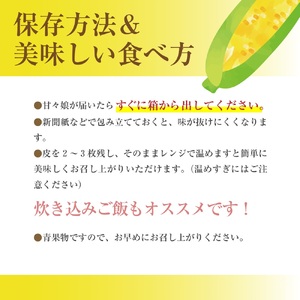 極甘フルーツとうもろこし「甘々娘（かんかんむすめ）」特Ａ品・激選贈答用 10～12本入り 【2026年6月中旬から発送】 アグリ甲斐 [5839-8580]