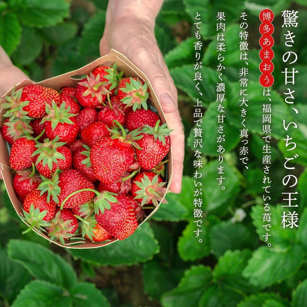 ※受付停止※あかい・まるい・おおきい・うまい「博多あまおう」の冷凍あまおう　500g