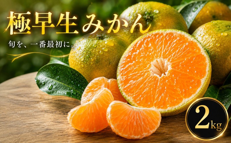 
                  【待望の新登場】 秋の先取り 【極早生みかん】 2kg 愛媛県産 【2026年10月上旬頃から順次発送】 | 温州みかん ミカン ごくわせ mikan みかん 蜜柑 訳ありフルーツ 柑橘 果物 おすすめ お勧め お取り寄せ ギフト 愛媛県 松山市
                