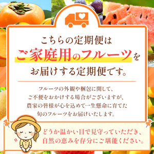 【 定期便 8回 】  プチっと 堪能 ！家庭用 フルーツ定期便 |（ いちご 白いちご みかん 不知火 デコポン スイカ ぶどう 梨 柿 果物 ）
