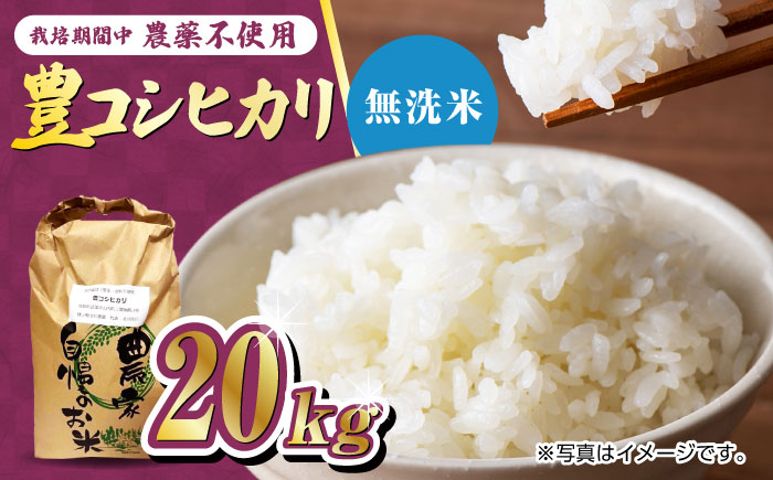 栽培期間中農薬不使用 令和6年産 豊コシヒカリ 精米（無洗米） 20kg 武雄市/鶴ノ原北川農園 [UDL020]