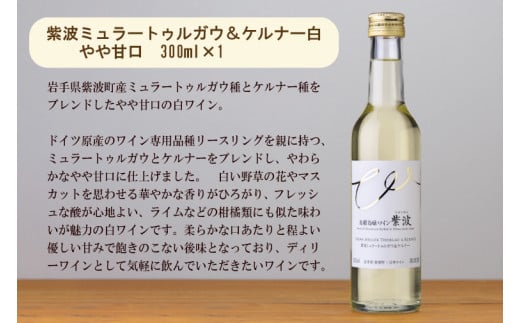 産地限定 ワインぶどう品種使用 ワインミニボトル ２本セット 甘口 ふるさと納税 紫波町産 テロワール ワイン (AL057-2)