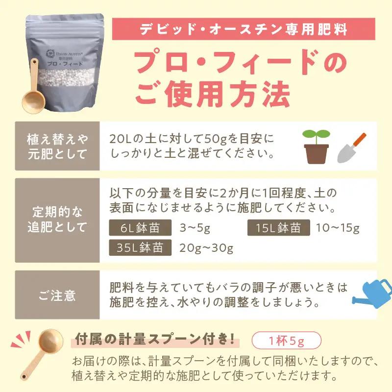 【 イングリッシュローズ 】 デビッド・オースチン つるバラ鉢苗（バラ専用肥料付） 花 バラ 薔薇 ばら インテリア ガーデニング フラワー つるバラ鉢苗 鉢苗 植物 薔薇苗 フラワー 初心者【025