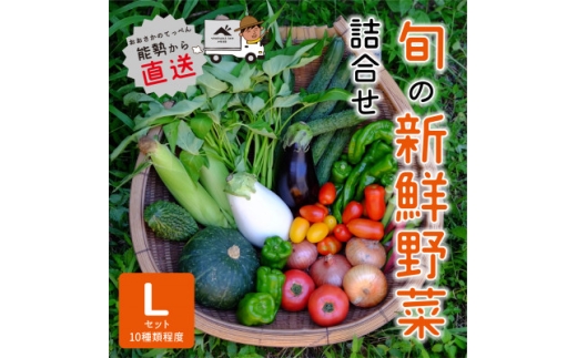 【大阪能勢産】 《農家直送》 べじたぶるぱーくの旬の新鮮野菜詰合せ Lセット (10種類)