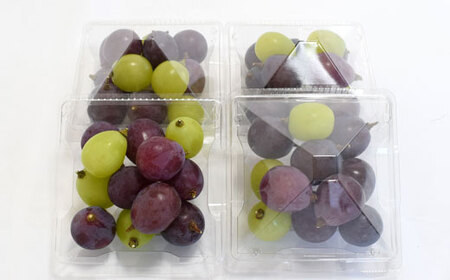 【数量限定】ピオーネと翠峰の夏のおまかせセット約200g×4パック ※着日指定不可 ※北海道・沖縄・離島への配送不可 ※2024年9月上旬～9月中旬頃に順次発送予定