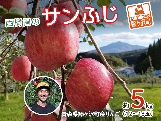 りんご 青森 サンふじ リンゴ 約 5kg (12～16玉) 青森県 鰺ヶ沢町産 西樹園 フルーツ 果物 果物類 白神山地 林檎 サンフジ ふじ