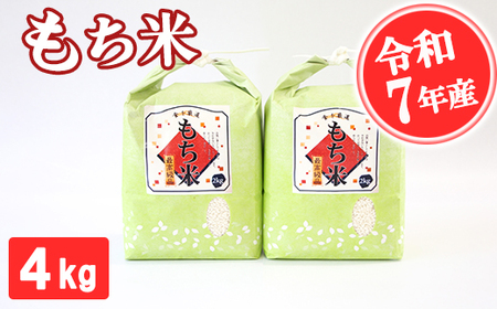 【令和7年産】もち米 4kg  精米 熊本県 南関町産 産地直送 餅 赤飯 おこわ