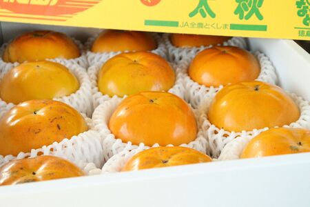太秋柿 12玉入り 約4~4.8 kg 甘柿 かき