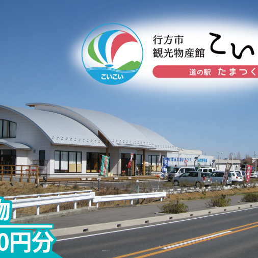 CT-23　行方市観光物産館「こいこい」お買物12,000円分