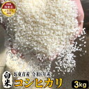 【ふるさと納税】No.387 白米　コシヒカリ3kg【令和6年産】／ 自然 お米 米 こめ 送料無料 茨城県