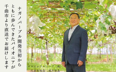 【2025年先行予約】ぶどう ナガノパープル 特秀品 加湿ハウス栽培 2房 ｜ ぶどう ぶどう ぶどう ぶどう ぶどう