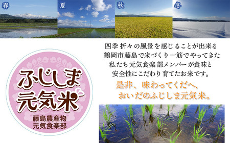 【令和7年産】【6ヶ月定期便】特別栽培つや姫 ふじしま元気米 精米 10kg(5kg×2袋)×6回 【毎月発送】合計60kg