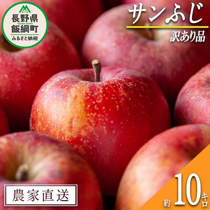 【ふるさと納税】 りんご サンふじ 訳あり 10kg 松橋りんご園 令和7年度収穫分 長野県 飯綱町 【 傷 不揃い リンゴ 林檎 果物 フルーツ 22000円 信州 長野 】発送時期：2025年12月中旬〜2026年3月上旬 {*}