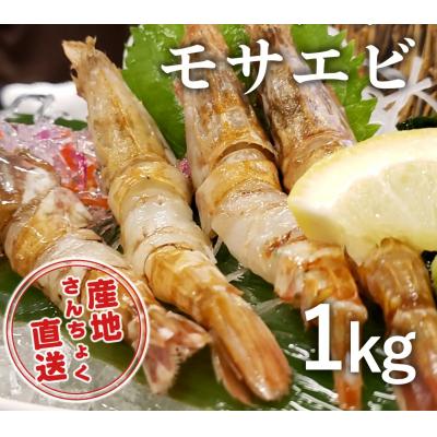 ふるさと納税 鳥取市 <真空冷凍>幻の海老!猛者エビ(モサエビ) 1kg(さんチョク)