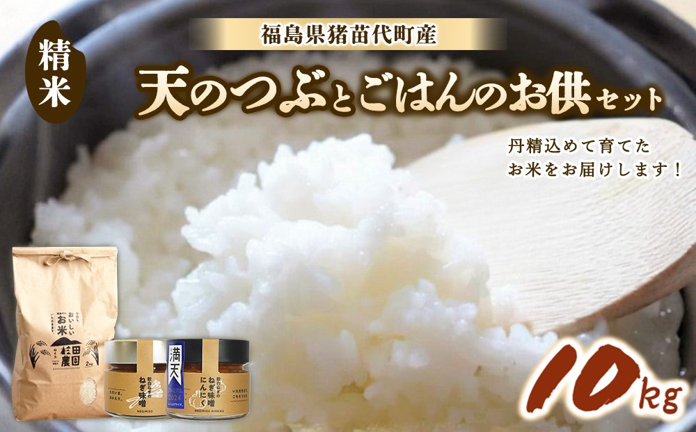 
                  【セット】 お米 天のつぶ 10㎏とごはんのお供（軟白ねぎのねぎ味噌とねぎ味噌にんにく）セット | 生産者直送 白米 精米 ネギみそ 葱味噌 葱みそ おかず
                
