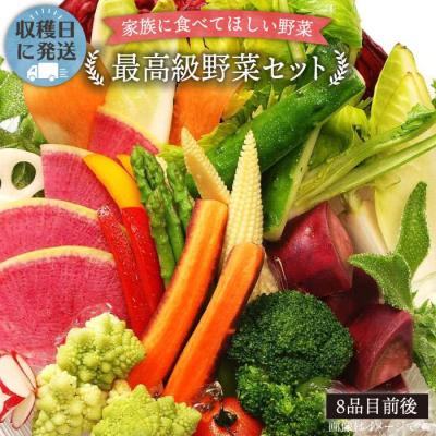 ふるさと納税 糸島市 栽培期間中農薬・化学肥料不使用 こだわり高級野菜セット オーガニックナガミツファーム[AGE014]