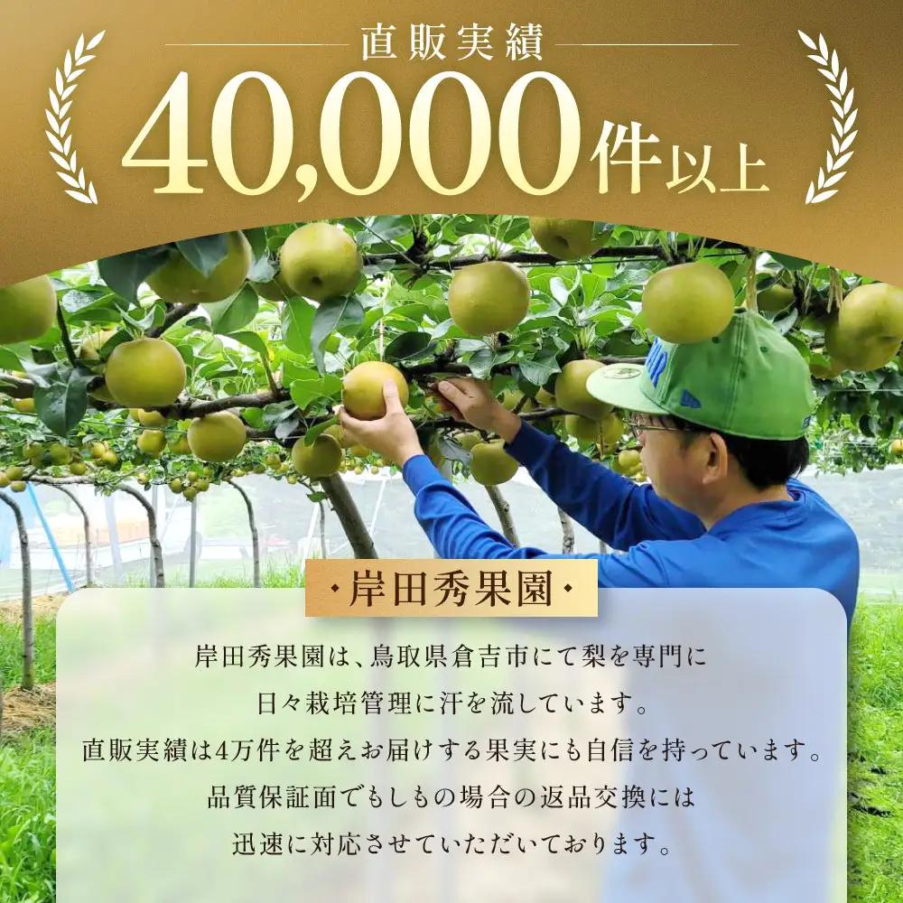 【2026年10月頃より発送】岸田秀果園 新興梨(ギフト用) 5kg